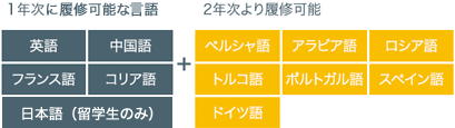 英語を含む 11言語 を履修可能