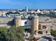マルタ大学